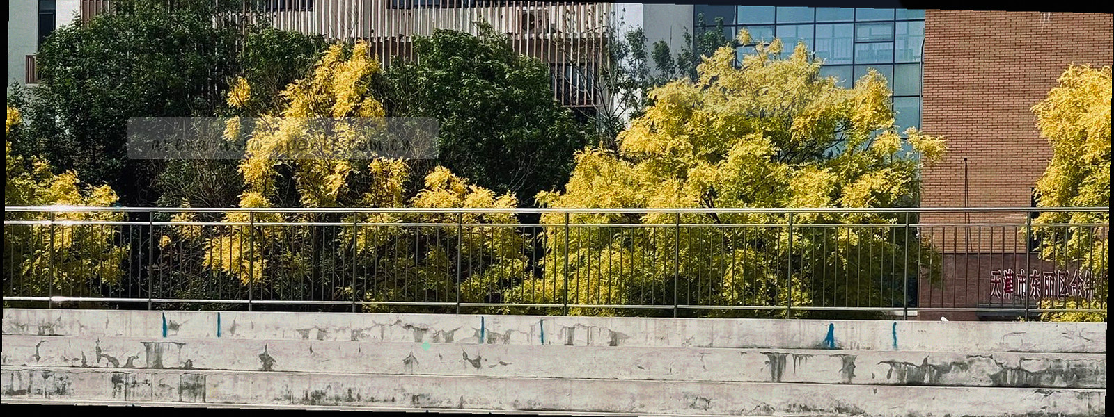 现代化体育场全景，灯光亮起，呈现赛场前沿氛围